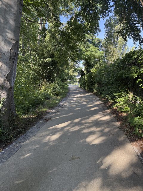 Die Büsche rechts und links am Rand laden zum "Lost Footbag" ein.