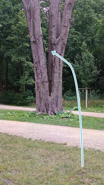3. Ziel ist gegen den gegabelten Baum oder durch seine Gabel zu spielen