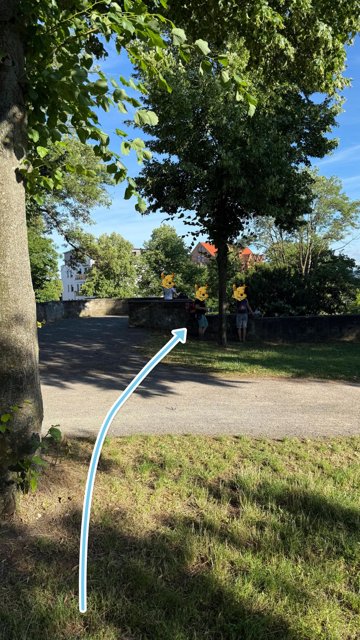 Einmal über den Weg und Links am Baum vorbei