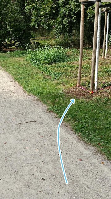 Spielst nach uns Baum-Drei-Eck ran.