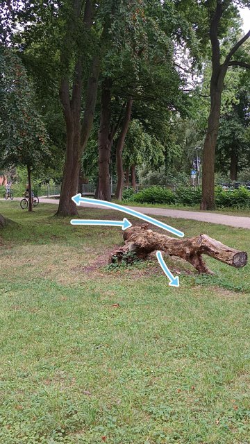 Danach gegen den Baum. Das Ziel ist erreicht sobald das Krokodil von hinten nach vorne durchspielt wurde.