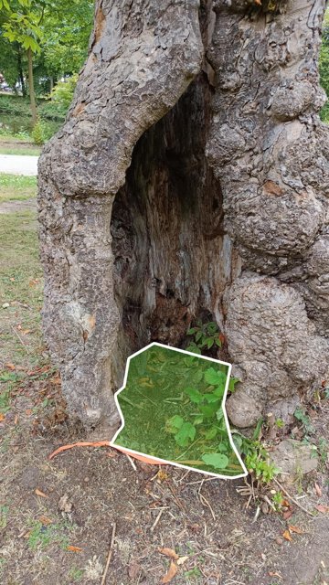 Wichtig ist das er am Ende im Baum liegen bleibt.