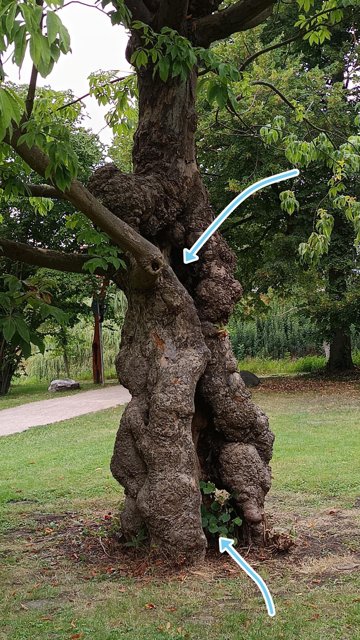 Schaffst du es oben rein zu spielen.