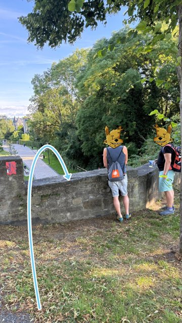 … und über die Mauer.