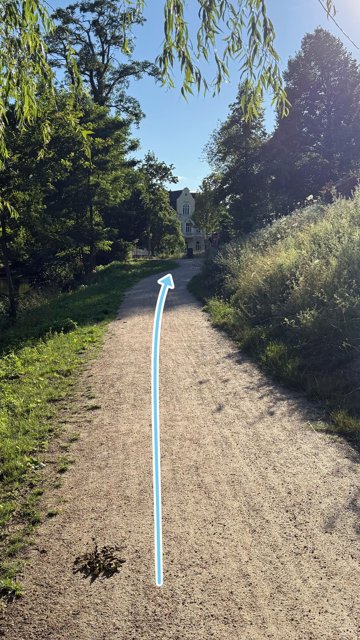 Wir starten auf Höhe der Weide.