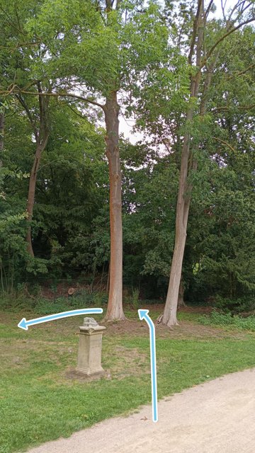 Von vorne nach hinten durch die zwei Bäume
